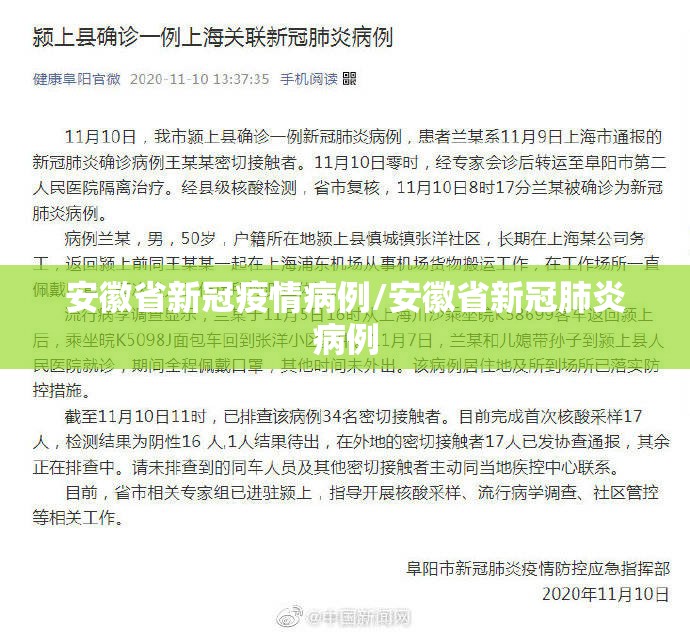 安徽省新冠疫情病例/安徽省新冠肺炎病例