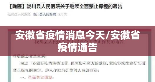 安徽省疫情消息今天/安徽省疫情通告