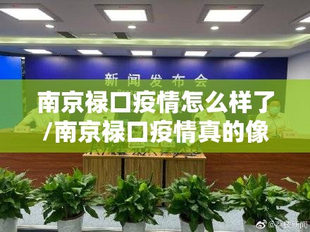 南京禄口疫情怎么样了/南京禄口疫情真的像网传的那么严重吗