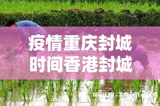疫情重庆封城时间香港封城了吗/疫情重庆封城时间香港封城了吗最新消息