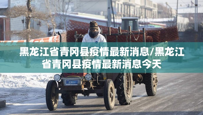 黑龙江省青冈县疫情最新消息/黑龙江省青冈县疫情最新消息今天
