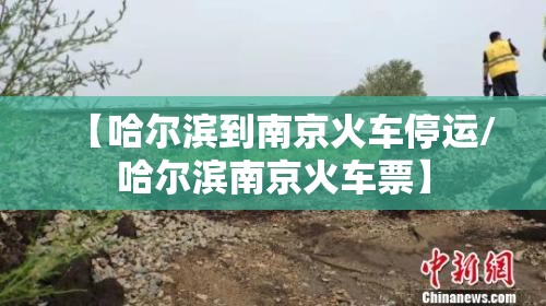 【哈尔滨到南京火车停运/哈尔滨南京火车票】