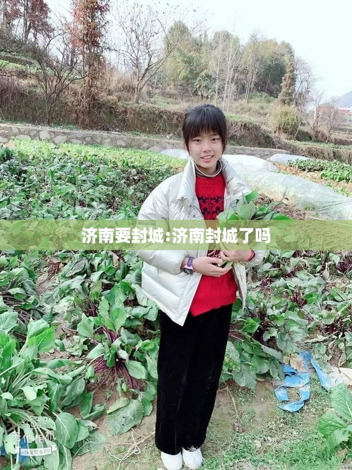 济南要封城:济南封城了吗