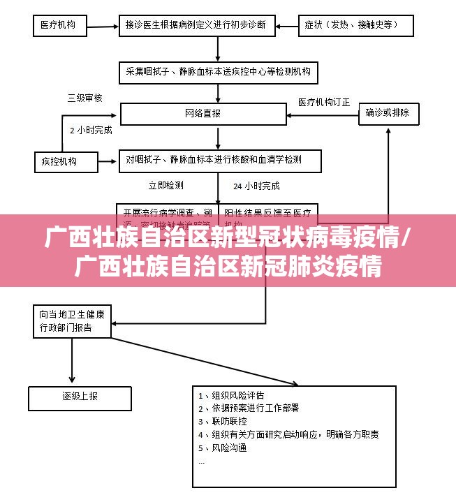 广西壮族自治区新型冠状病毒疫情/广西壮族自治区新冠肺炎疫情