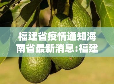 福建省疫情通知海南省最新消息:福建省疫情防控最新通告