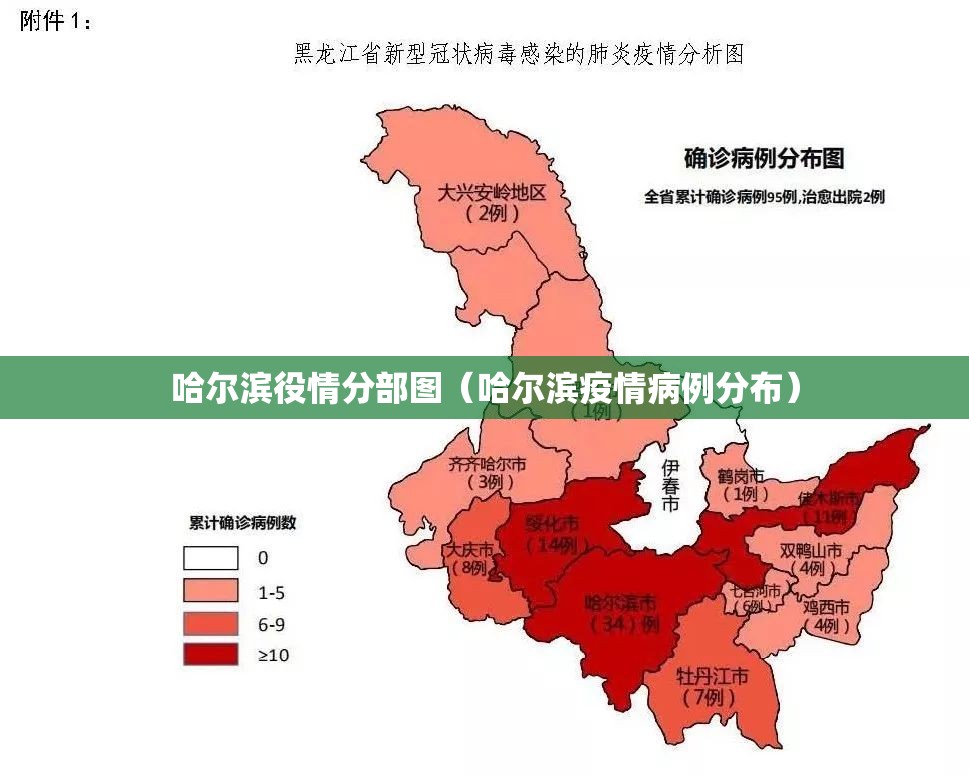 哈尔滨役情分部图（哈尔滨疫情病例分布）