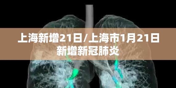 上海新增21日/上海市1月21日新增新冠肺炎