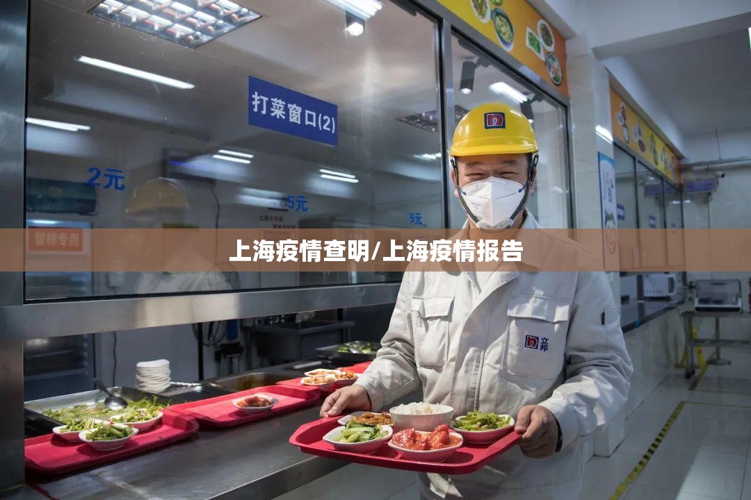 上海疫情查明/上海疫情报告
