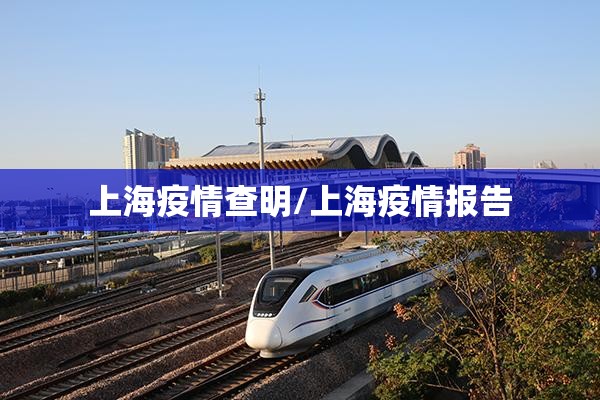上海疫情查明/上海疫情报告