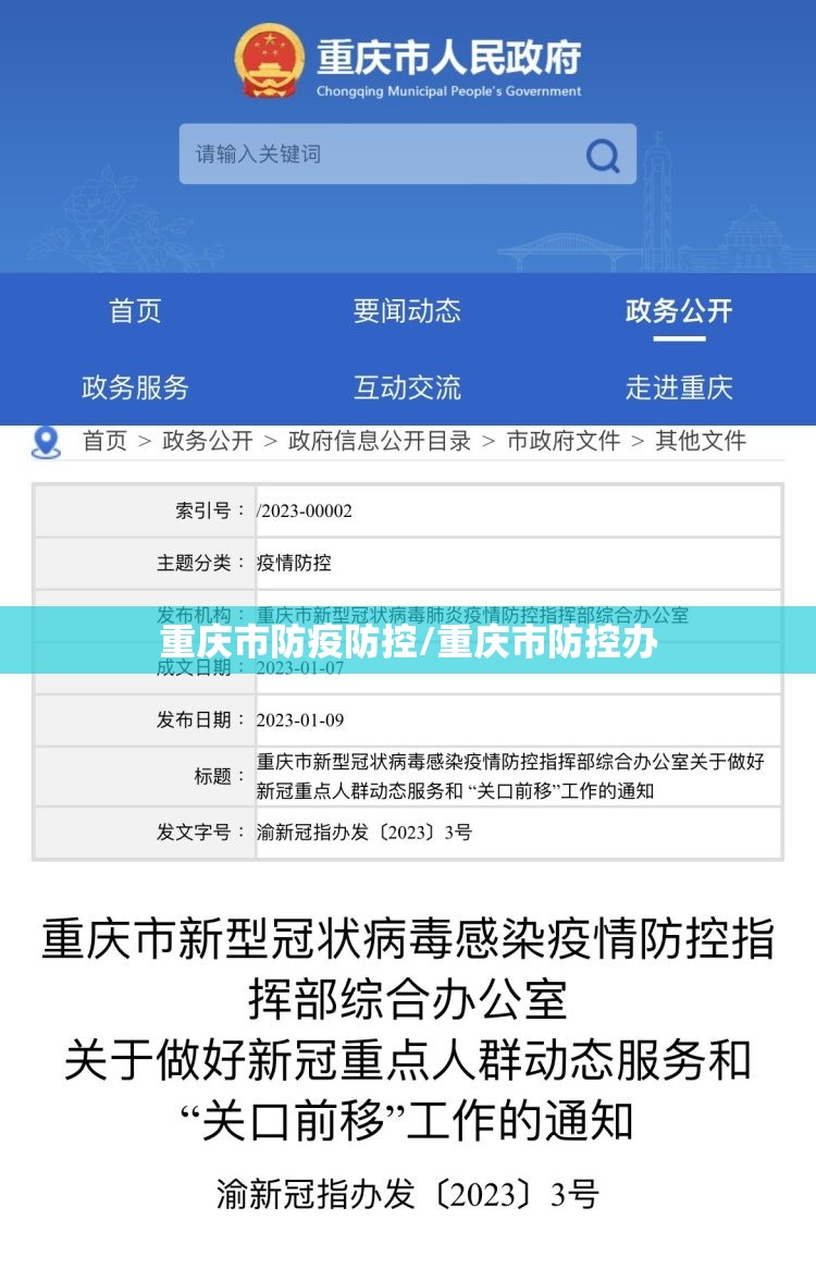 重庆市防疫防控/重庆市防控办