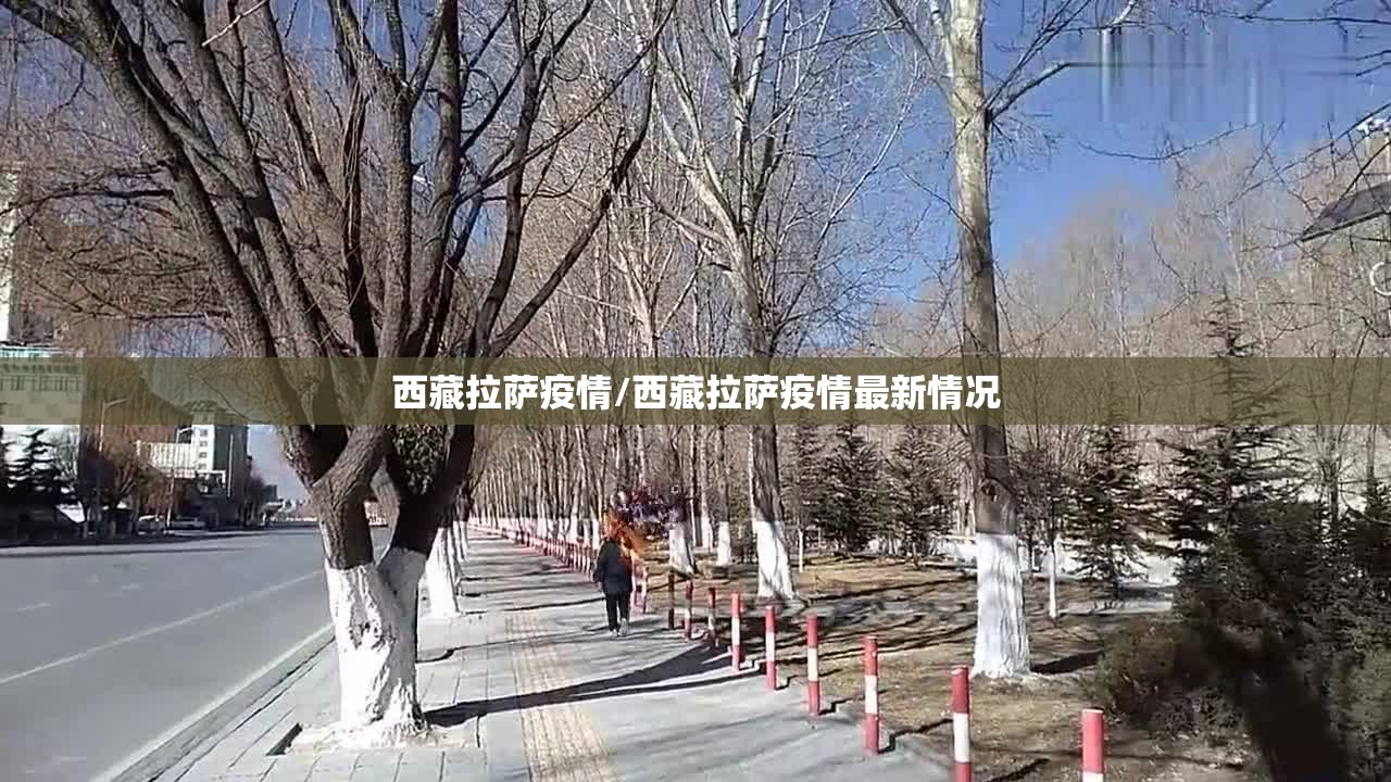 西藏拉萨疫情/西藏拉萨疫情最新情况