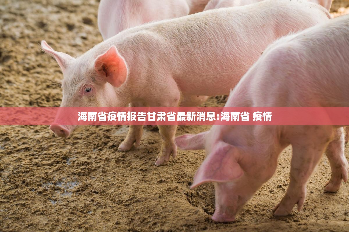 海南省疫情报告甘肃省最新消息:海南省 疫情