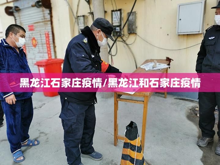 黑龙江石家庄疫情/黑龙江和石家庄疫情