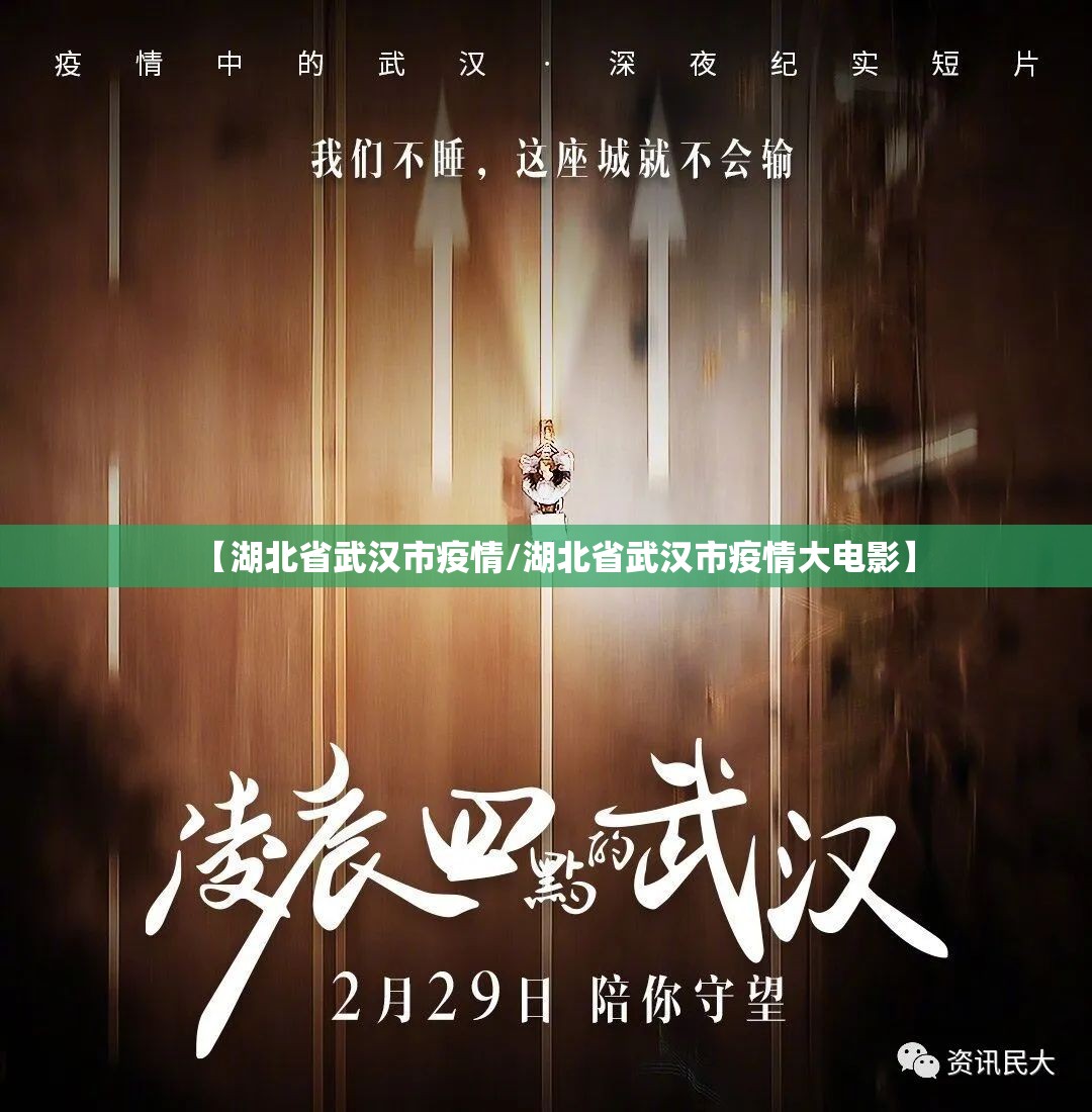 【湖北省武汉市疫情/湖北省武汉市疫情大电影】