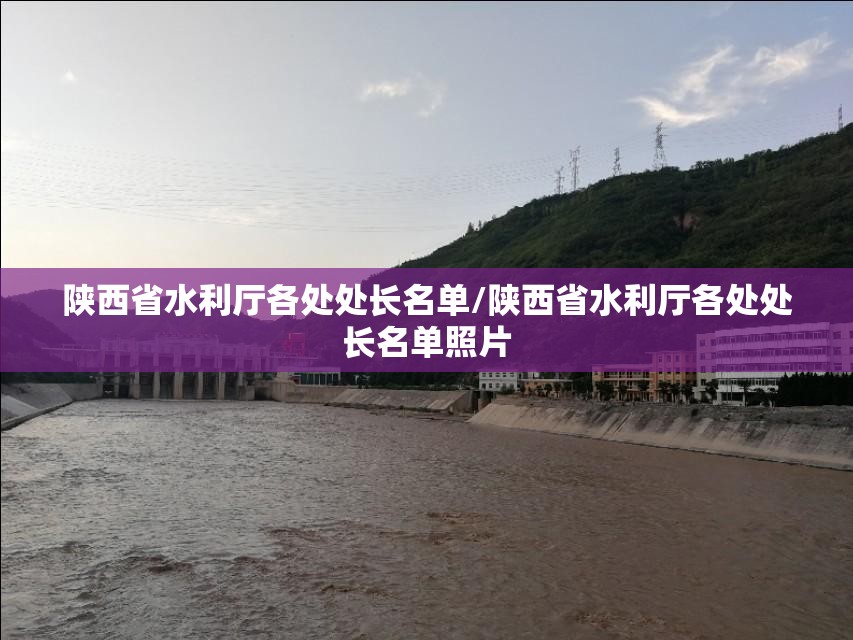 陕西省水利厅各处处长名单/陕西省水利厅各处处长名单照片