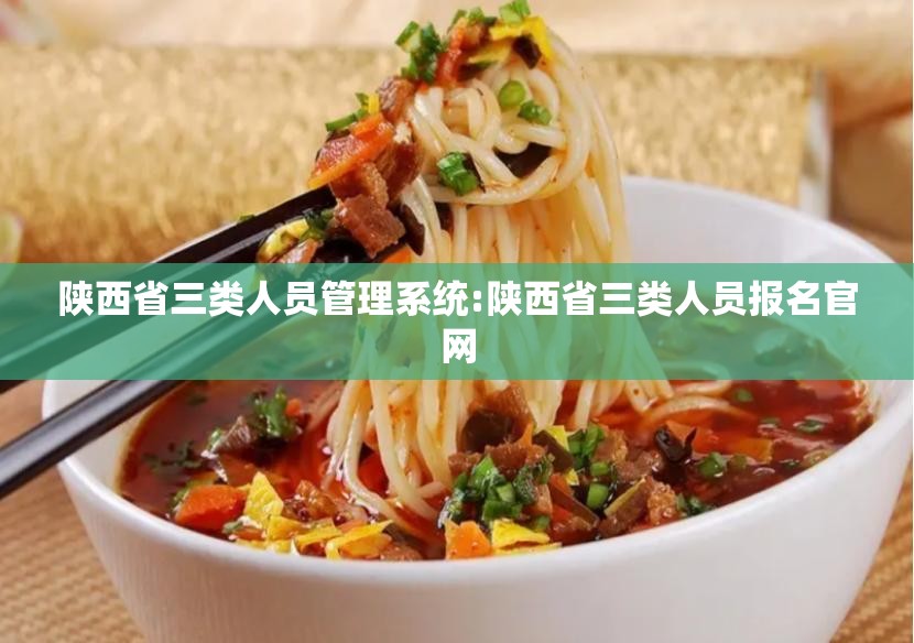 陕西省三类人员管理系统:陕西省三类人员报名官网