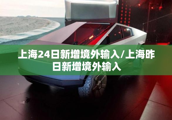 上海24日新增境外输入/上海昨日新增境外输入