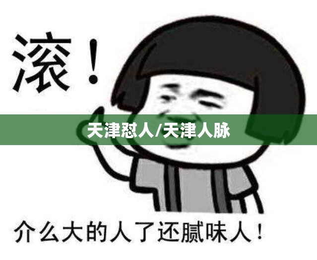 天津怼人/天津人脉