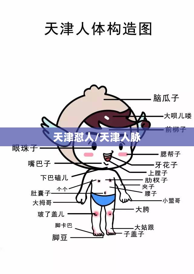 天津怼人/天津人脉