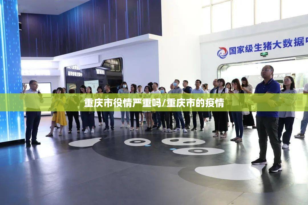 重庆市役情严重吗/重庆市的疫情