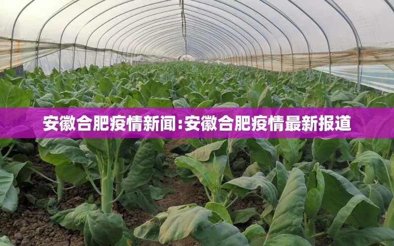 安徽合肥疫情新闻:安徽合肥疫情最新报道