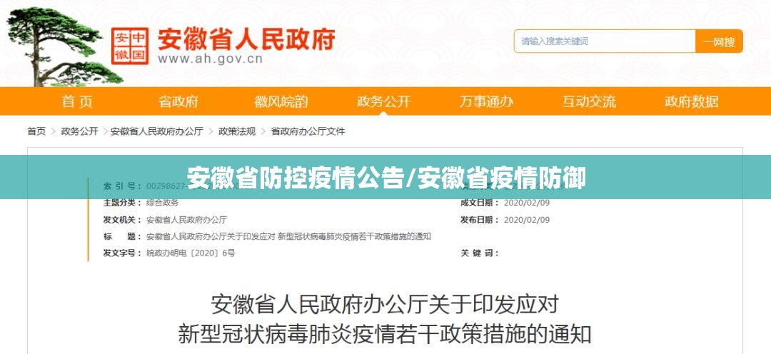 安徽省防控疫情公告/安徽省疫情防御