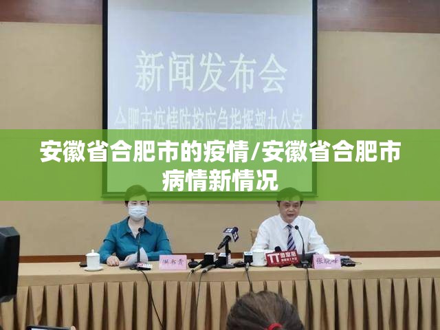 安徽省合肥市的疫情/安徽省合肥市病情新情况