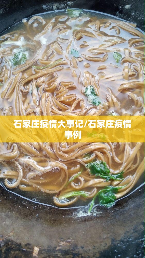 石家庄疫情大事记/石家庄疫情事例