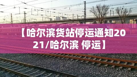 【哈尔滨货站停运通知2021/哈尔滨 停运】