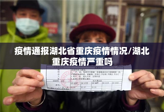 疫情通报湖北省重庆疫情情况/湖北重庆疫情严重吗