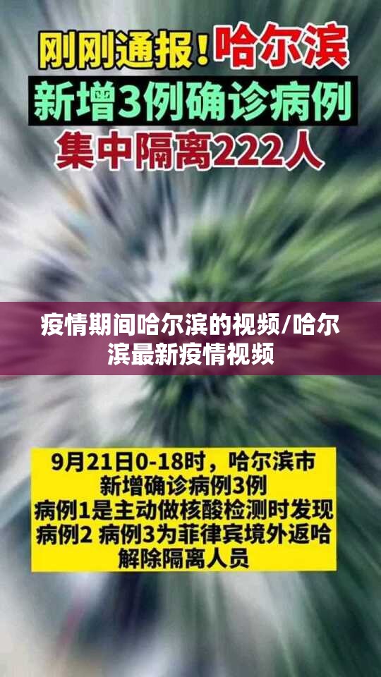 疫情期间哈尔滨的视频/哈尔滨最新疫情视频