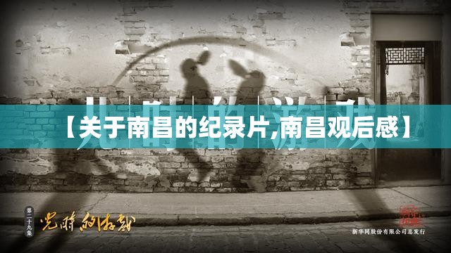 【关于南昌的纪录片,南昌观后感】