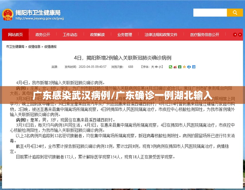 广东感染武汉病例/广东确诊一例湖北输入