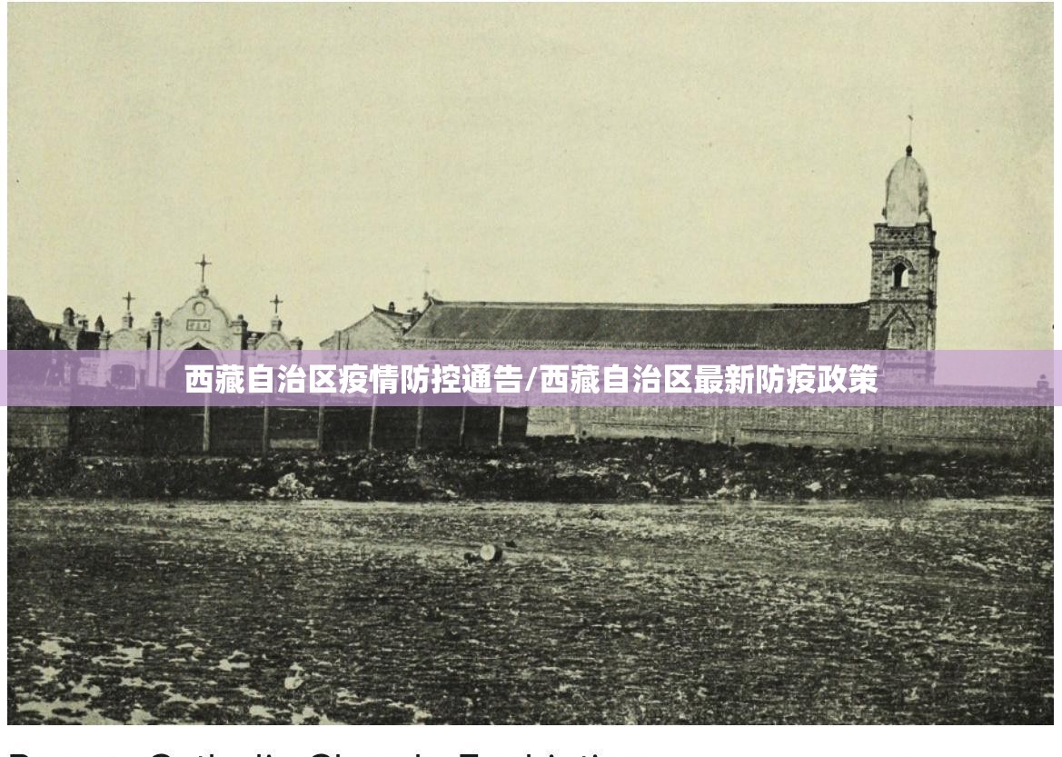 西藏自治区疫情防控通告/西藏自治区最新防疫政策