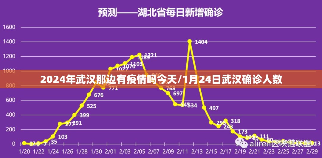 2024年武汉那边有疫情吗今天/1月24日武汉确诊人数