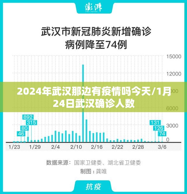 2024年武汉那边有疫情吗今天/1月24日武汉确诊人数