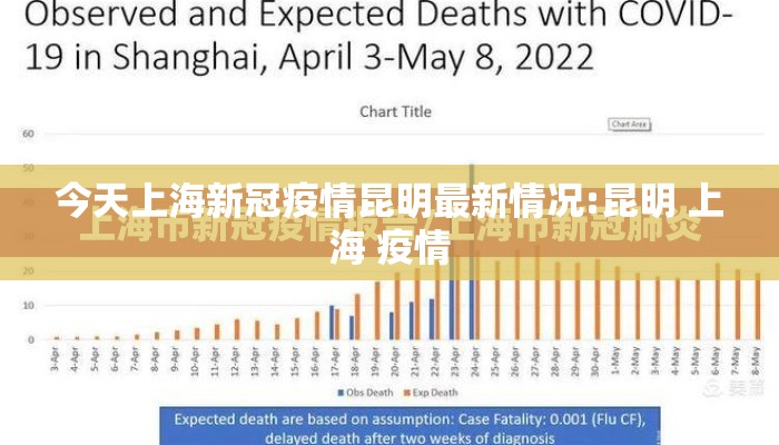 今天上海新冠疫情昆明最新情况:昆明 上海 疫情
