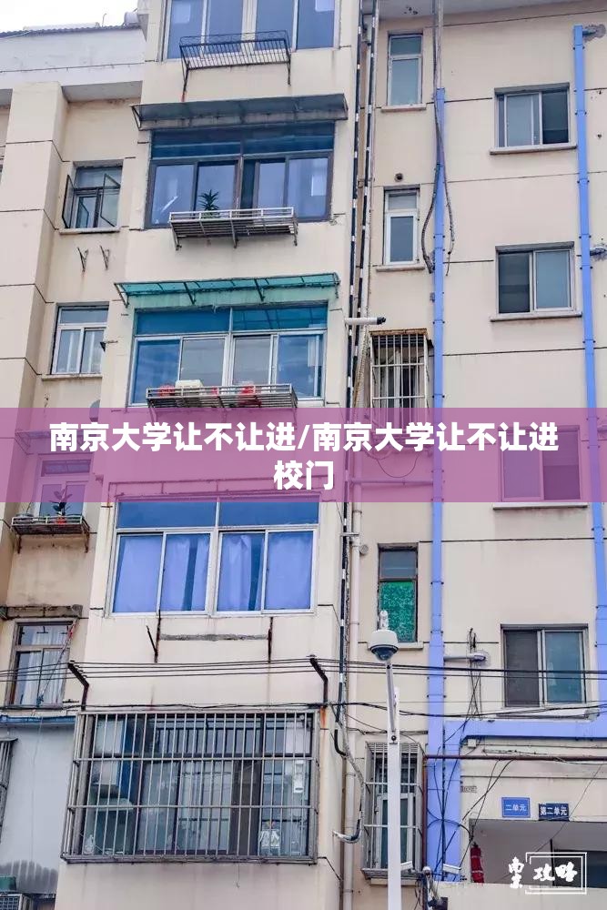 南京大学让不让进/南京大学让不让进校门