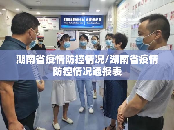 湖南省疫情防控情况/湖南省疫情防控情况通报表
