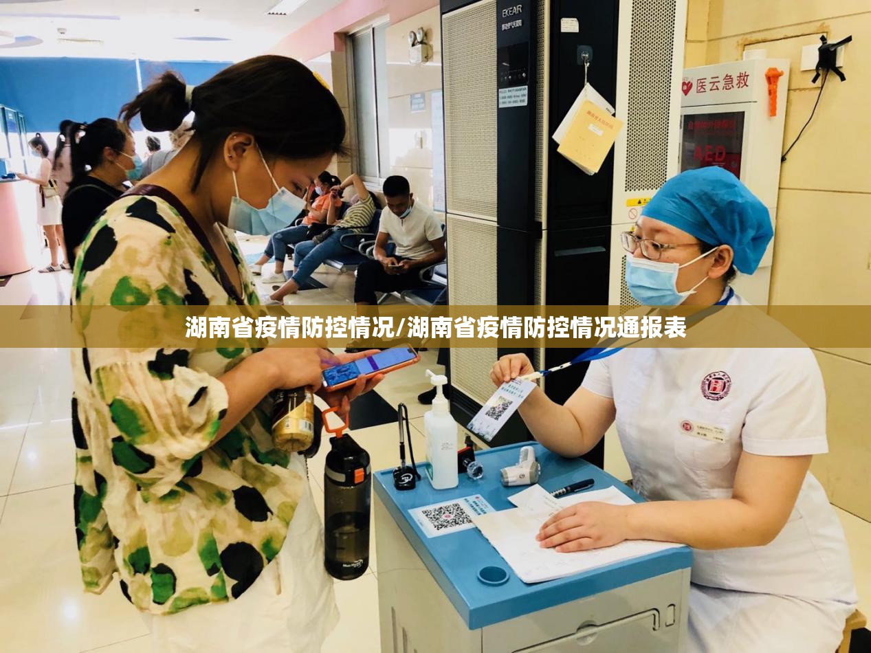 湖南省疫情防控情况/湖南省疫情防控情况通报表