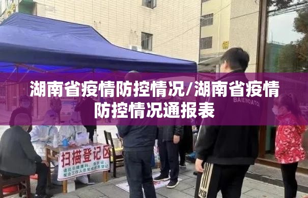 湖南省疫情防控情况/湖南省疫情防控情况通报表