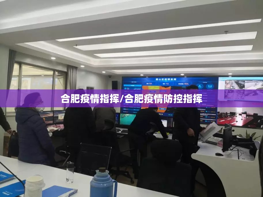 合肥疫情指挥/合肥疫情防控指挥