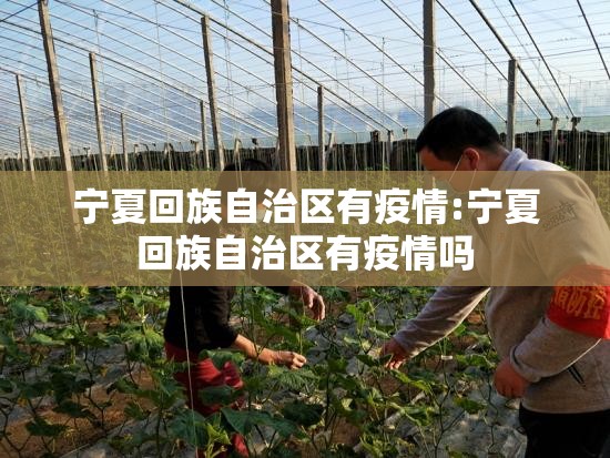 宁夏回族自治区有疫情:宁夏回族自治区有疫情吗