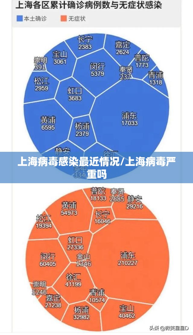 上海病毒感染最近情况/上海病毒严重吗
