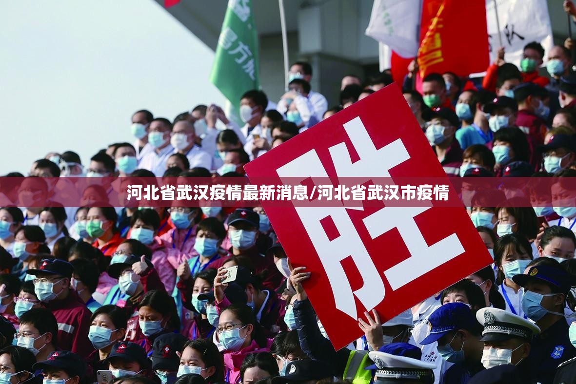 河北省武汉疫情最新消息/河北省武汉市疫情