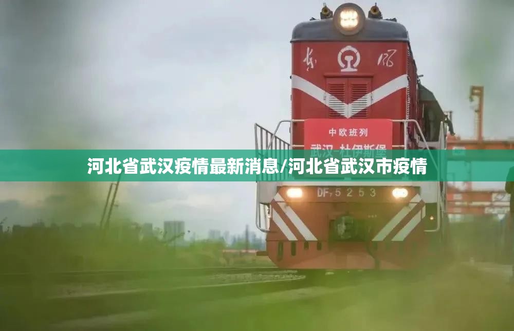 河北省武汉疫情最新消息/河北省武汉市疫情
