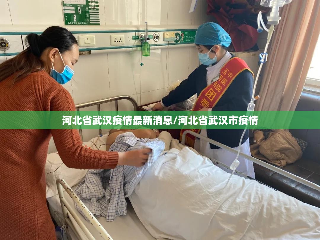 河北省武汉疫情最新消息/河北省武汉市疫情