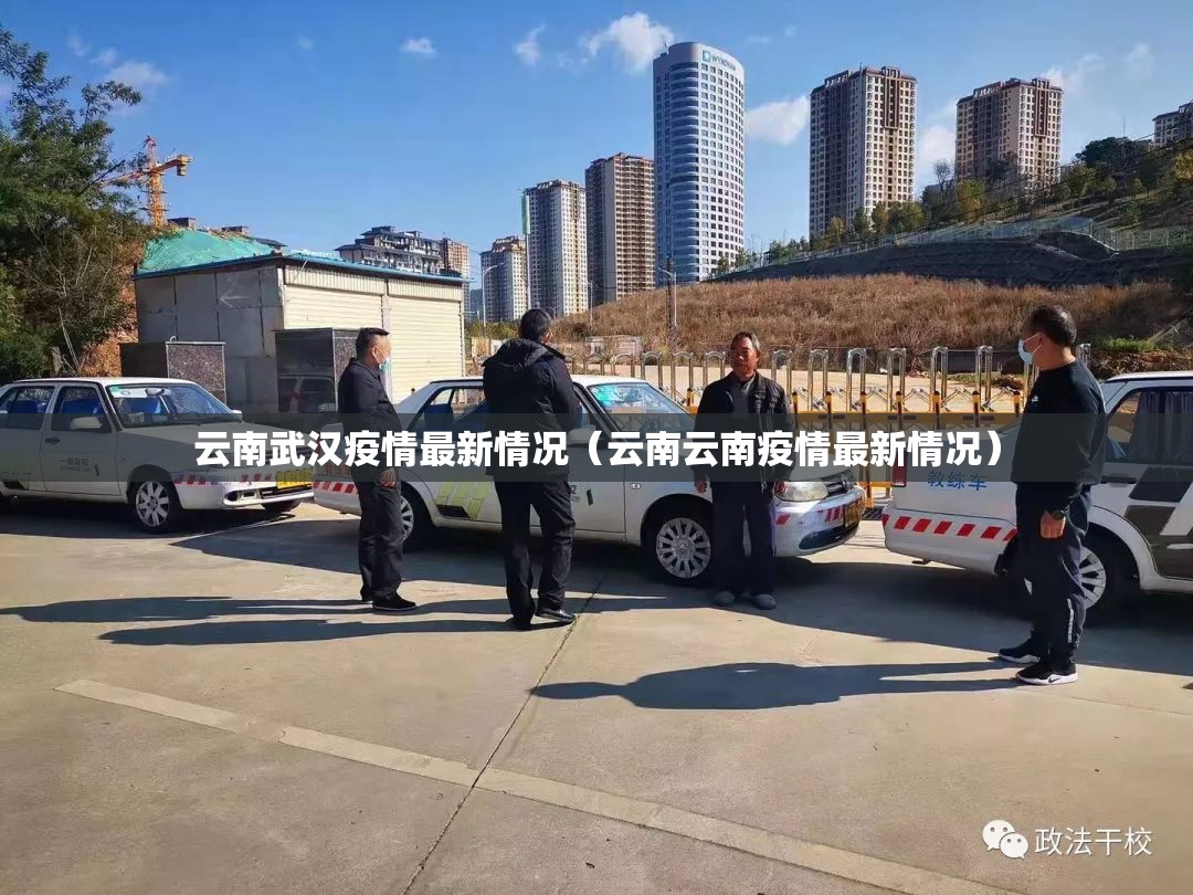 云南武汉疫情最新情况（云南云南疫情最新情况）