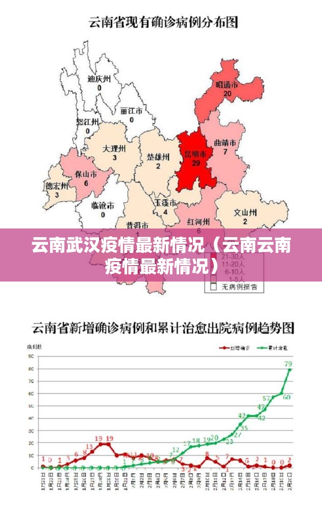 云南武汉疫情最新情况（云南云南疫情最新情况）