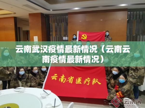 云南武汉疫情最新情况（云南云南疫情最新情况）